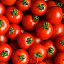 Tomate