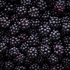 Brombeere