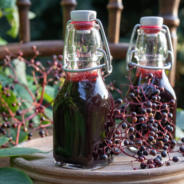 Holunderbeerensirup Bild