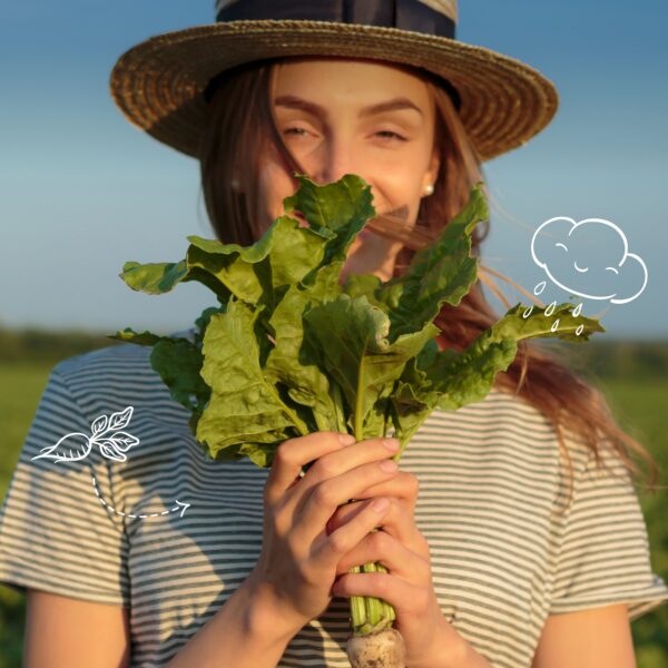 Multitalent Zuckerrübe Bild