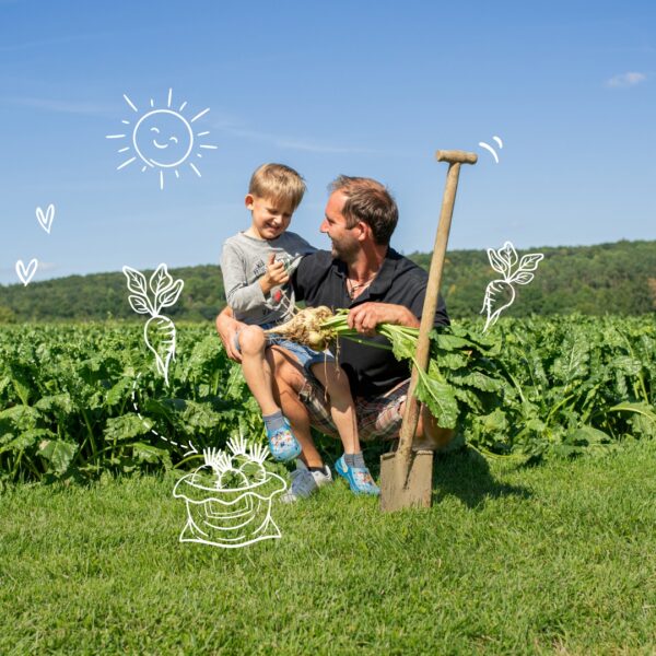 Zum Ursprung unserer Zuckerrüben Bild