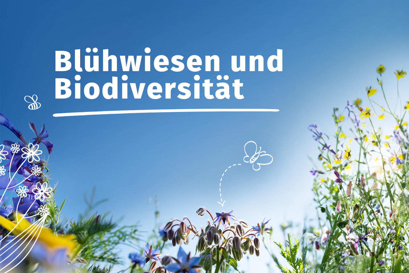 Unsere Initiative zur Unterstützung von Biodiversität und Artenvielfalt Image
