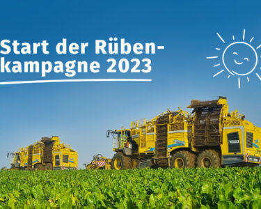 Unsere Rübenkampagne 2023 beginnt! Bild