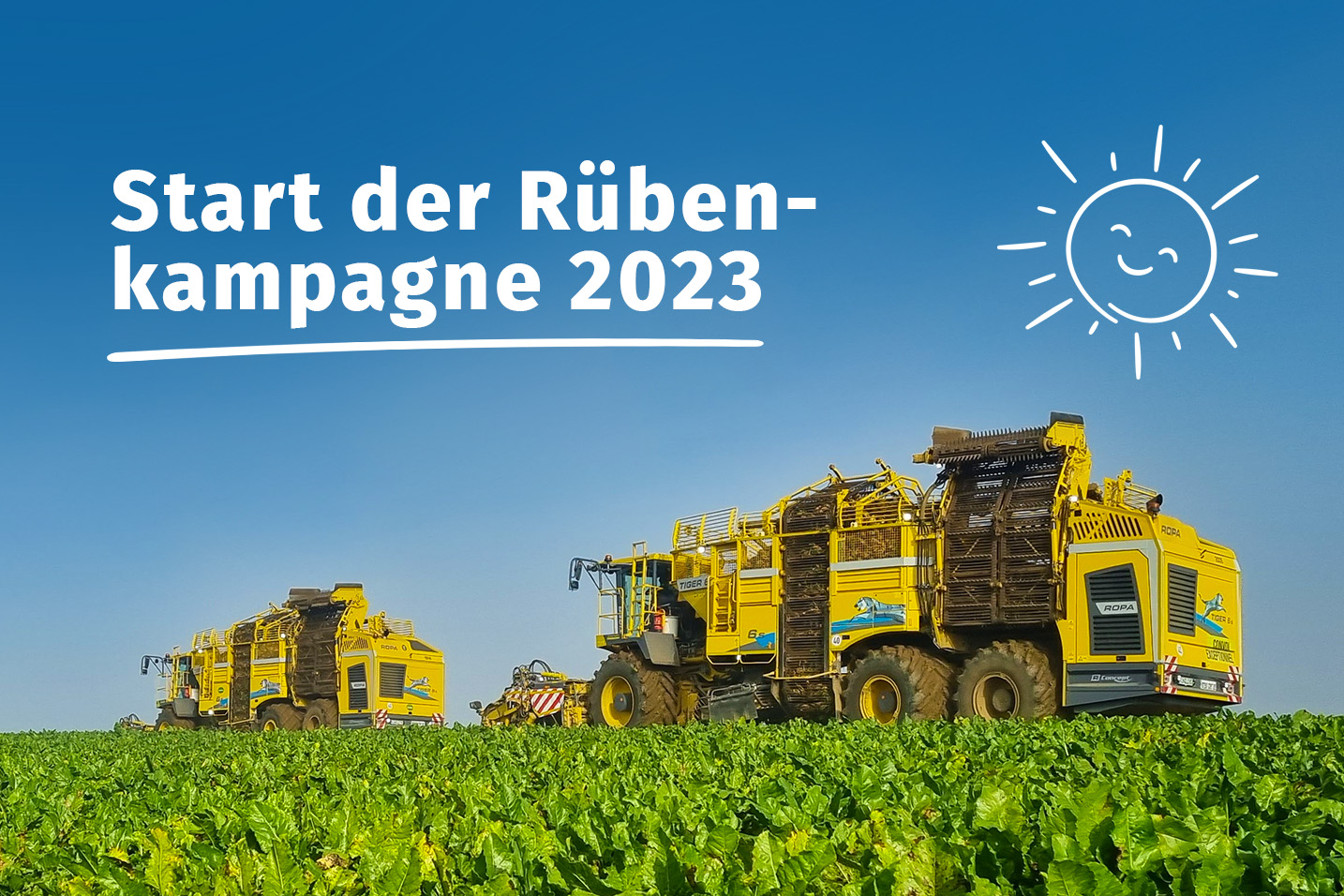 Unsere Rübenkampagne 2023 beginnt! Image
