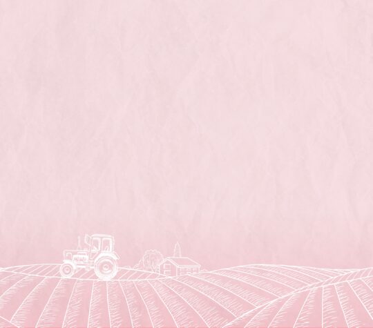 Gelier- und Einmachzucker Bild